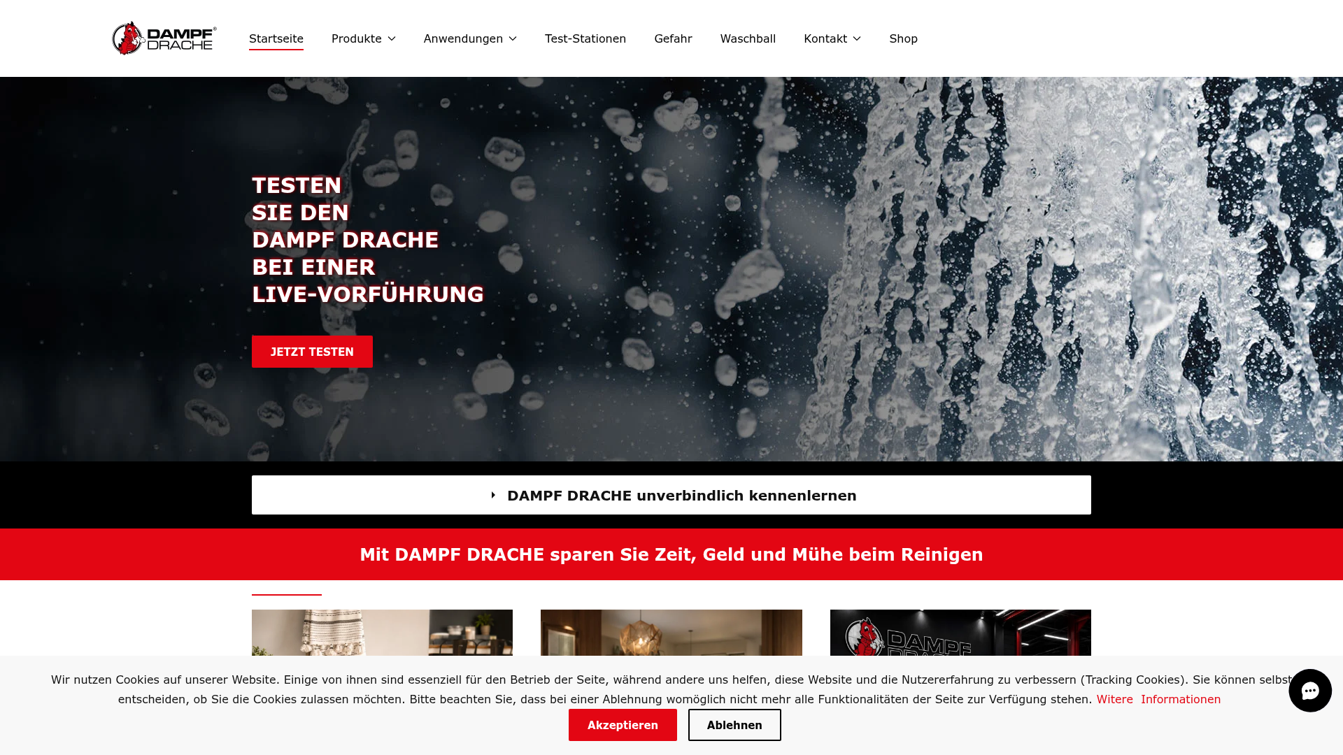 Website-Screenshot DampfDrache