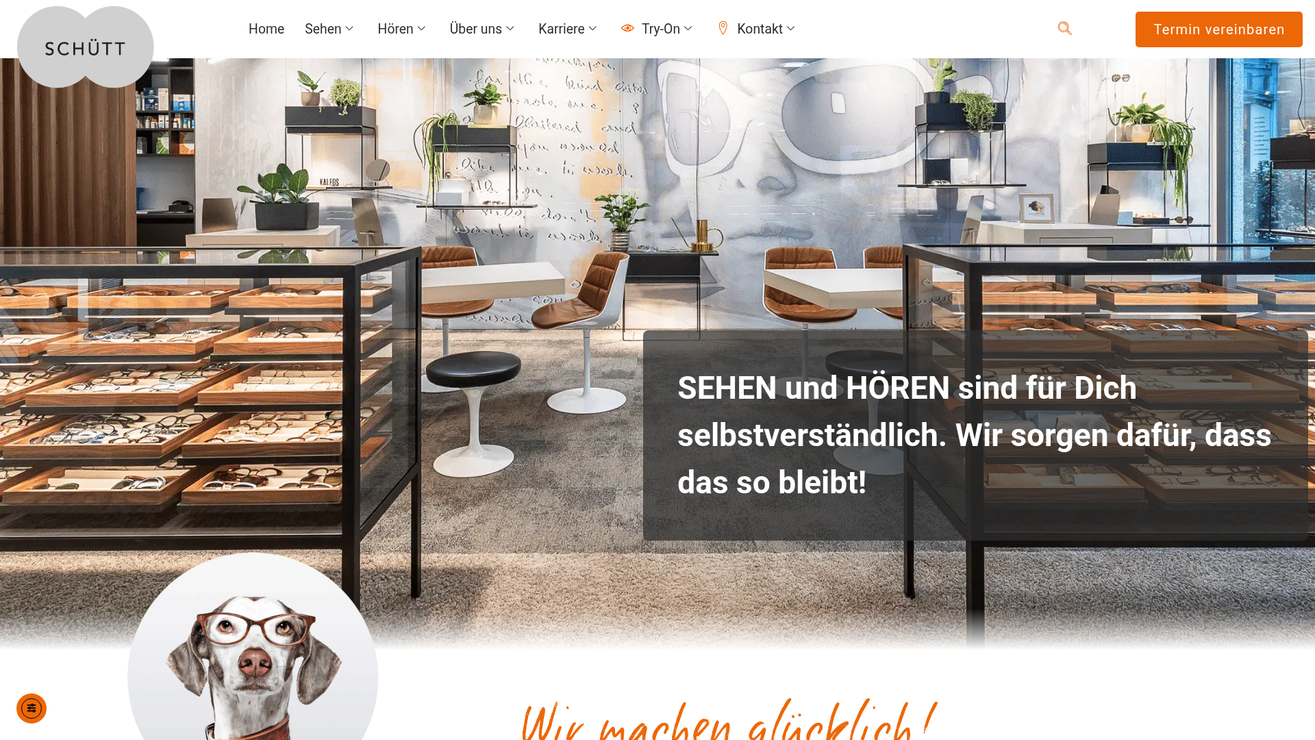 Website-Screenshot Optik Schütt